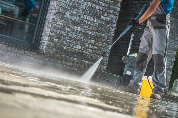 Best Animal Enclosure Cleaning  in Roselle, NJ
